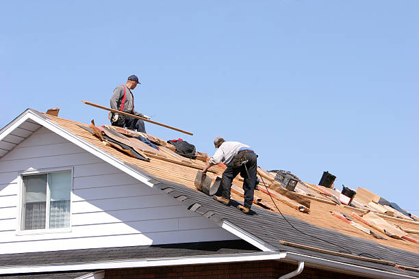 Best Roof Moss and Algae Removal  in Englewood, TN